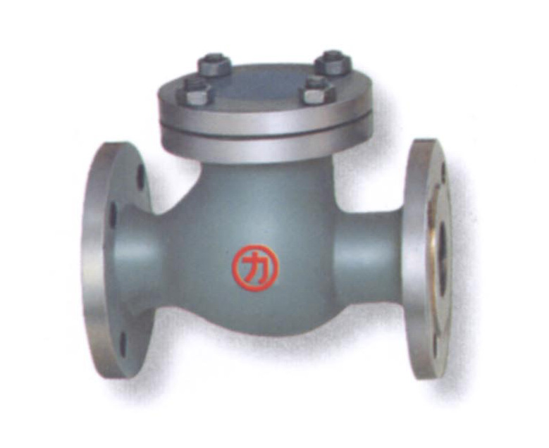 Flanged Swing Check Valve