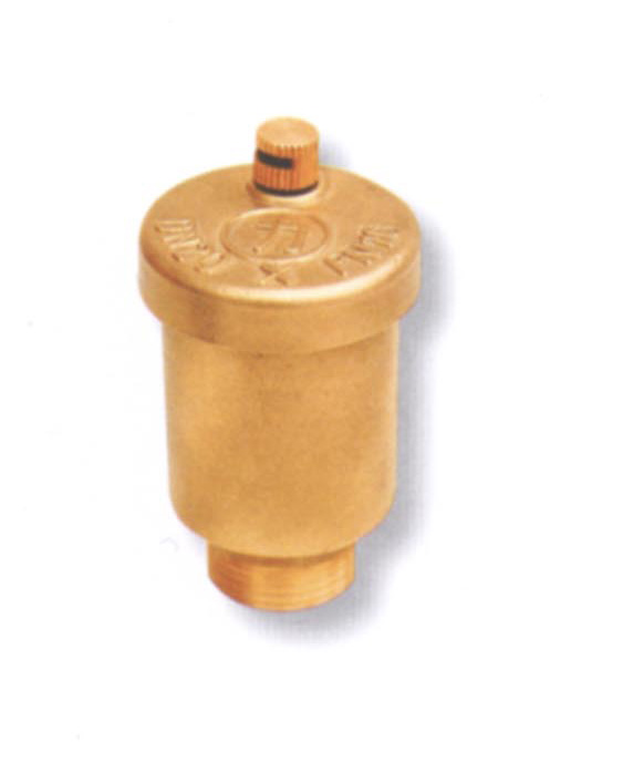 Vertical Automatic Brass  exhaust valve (II )