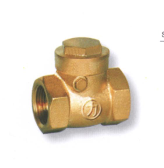 Brass Swing Check Valve)